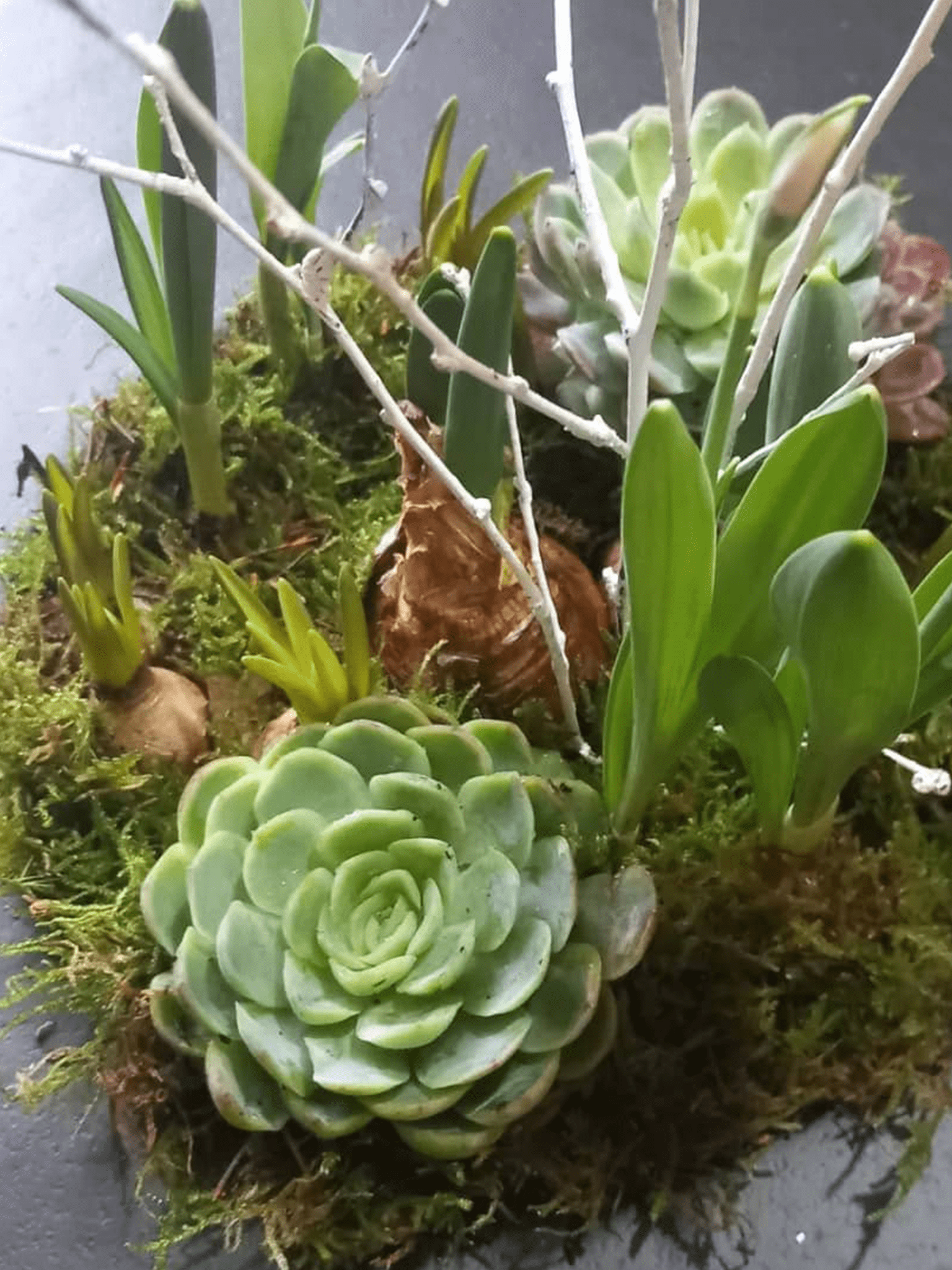 Saisonalfloristik